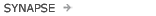 Synapse